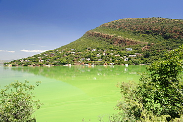 The Hartbeespoort dam in South Africa's North West Province. The water is green due to algae growth.