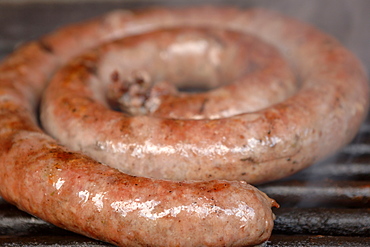 South African boerewors sausage cooking on a barbeque.