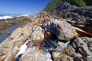 Scenery along part of the Otter trail in the Tsitsikamma National Park on the Garden Route in South Africa.