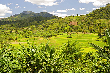 Rice paddies and tropical landscape along the Sambava-Andapa road near Marojejy National park, Antsiranana province of northeast Madagascar, Madagascar, Africa