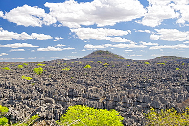 The Tsingy Rary landscape of limestone karsts in Ankarana National Park in northern Madagascar, Madagascar, Africa