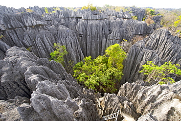 View across the Grand Tsingy landscape of limestone karst in the Tsingy de Bemaraha National Park, UNESCO World Heritage Site, western Madagascar, Madagascar, Africa