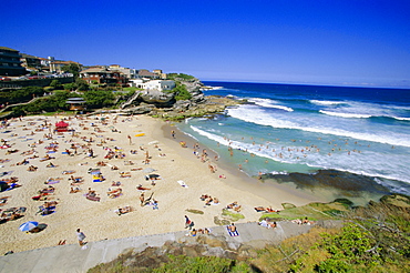 Tamarama, fashional beach south of Bondi, Eastern suburbs, Sydney, New South Wales, Australia, Pacific