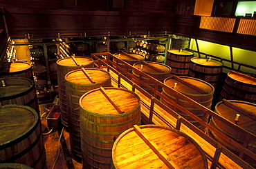 Oak barrels at the Sterling Winery,  Napa Valley, Northern California, UsaOak barrels at the Sterling Winery near Calistoga, in the Napa Valley, north of San Francisco, famous for it's 200 wineries