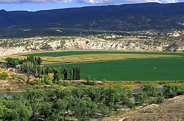 Irrigated fields at the Daniel/Chew ranch, an arable and stock family farm that relies on water from the nearby Green River, within Dinosaur National Monument, Utah, Usa