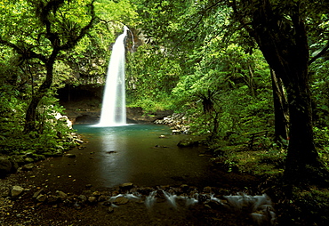 The lovely lower Bouma Waterfall in this famous national park on the south coast of Taveuni - the 'Garden Island', Bouma National Park, Taveuni, Fiji
