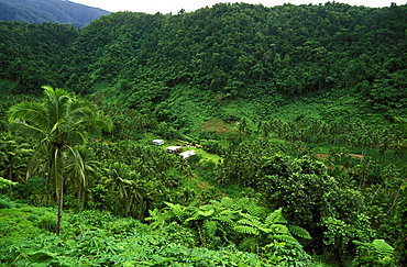 Typical dwellings in valley near Bouma in this famous national park on the south coast of Taveuni, the 'Garden Island', Bouma National Park, Taveuni, Fiji