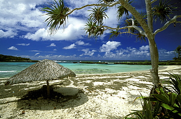 The white sand beach at Eton on the south east coast of the island, Efate Island, Vanuatu