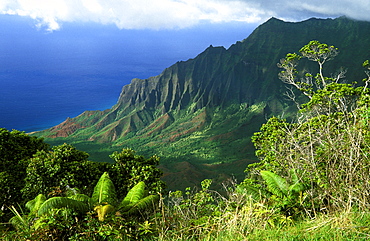 Looking towards the towering seacliffs of the famous NA Pali Coast from the Kokee State Park at the head of Waimea Canyon, Kauai, Hawaii, USA