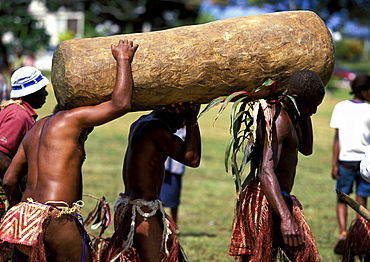 Men from the island of Pentecost carry a traditional tamtam, a slit drum hollowed from a tree trunk, at a Melanesian cultural festival, Efate Island, Port Vila, VanuatuVANUATU.  Port Vila.  Efate Island 