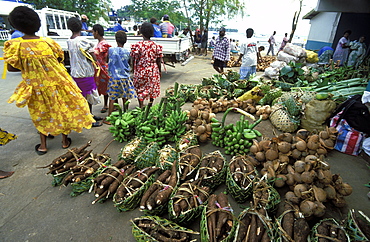 Three important staples: taro, coconut and banana at the vegetable market in the capital's city centre, Efate Island, Port Vila, Vanuatu