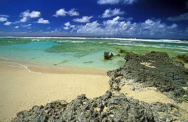 Outcrop of old coral at a beach in the south east of the island, Efate Island, Vanuatu