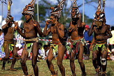 Men from the island of Malekula dancing at a Melanesian cultural festival. Malekula is still very traditional and had cannibalism till 1969, Efate Island, Port Vila, Vanuatu