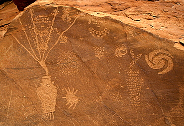 Petroglyphs carved 1000 years ago by Fremont Native American people in the iron oxide 'desert varnish' on the sandstone of Cub Creek Valley in this fossil park, Dinosaur National Monument, Utah, United States of America (USA), North America