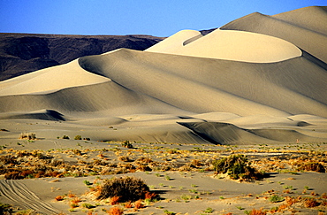 Sand Mountain Recreation Area, a 600ft sand dune popular with off-roaders, east of Fallon, by Highway 50 -'The Loneliest Road in America', The Great Basin, Nevada, United States of America (USA), North America