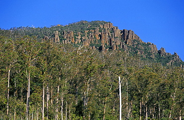 Dolerite cliffs near Rowallan that typify the glacially scoured landscape of The Walls of Jerusalem National Park, the north, Tasmania, Australia, Pacific