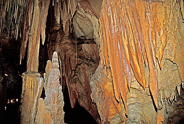 Stalactites, stalagmites and columns at King Solomon's Cave in the Mole Creek Karst National Park, the north, Tasmania, Australia, Pacific