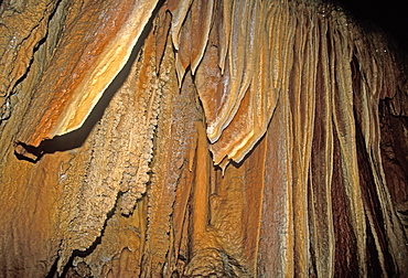 'Bacon strip' curtain formations at King Solomon's Cave in the Mole Creek Karst National Park, the north, Tasmania, Australia, Pacific