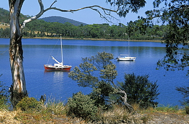 Moored yacht at Nubeena, a quiet holiday town near Port Arthur, Tasman Peninsula, south east, Tasmania, Australia, Pacific