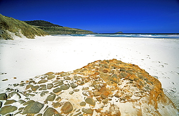 Roaring Beach, a beautiful surf beach near Nubeena, Tasman Peninsula, south east, Tasmania, Australia, Pacific