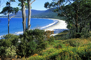 Pirates Bay, Eaglehawk Neck, Port Arthur region, Tasman Peninsula, South East, Tasmania, Australia, Pacific