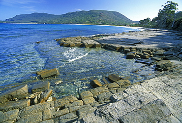 Tessellated Pavement, a wave-cut platform of horizontal strata, north of Pirates Bay, Forestier Peninsula, South East, Tasmania, Australia, Pacific