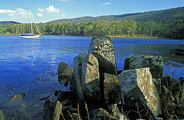 Yacht moored on the Esperance River, Dover, Huon region, south east, Tasmania, Australia, Pacific