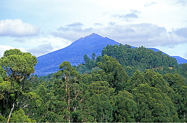 1255m Haartz Peak, high point of Haartz Mountains National Park, south east, Tasmania, Australia, Pacific