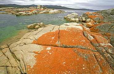 Granite outcrops with orange lichen, a feature of beautiful Freycinet National Park, south east, Tasmania, Australia, Pacific