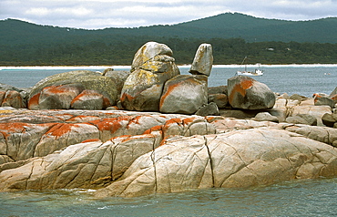 Granite outcrops with orange lichen, a feature of beautiful Freycinet National Park, south east, Tasmania, Australia, Pacific