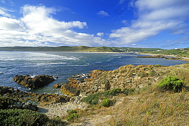 Gardiner Point, known as 'The Edge of the World' (from here the ocean is uninterrupted to Argentina), Arthur River, North West, Tasmania, Australia, Pacific