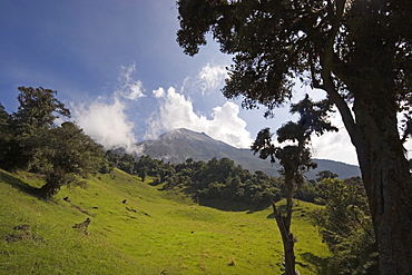 Smoke rises from the active crater of Tungurahua Volcano that threatens the nearby town of Banos, Ambato Province, Central Highlands, Ecuador, South America