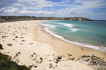 Looking across Bondi Beach in the Eastern Suburbs towards North Bondi, Bondi, Sydney, New South Wales, Australia, Pacific