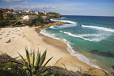 The fashionable beach at Tamarama, the sought-after district between Bondi and Bronte in the Eastern Suburbs, Tamarama, Sydney, New South Wales, Australia, Pacific