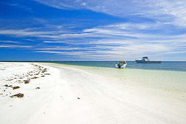 White sand beach at the small town of Cervantes, Dandaragan Shire, Western Australia, Australia, Pacific