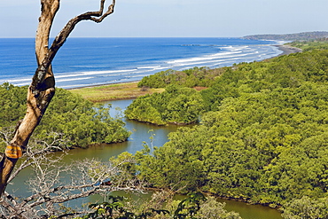 Ostional Beach and the Reserva Biologica Nosara, a private nature reserve on the Nosara River, Nosara, Nicoya Peninsula, Guanacaste Province, Costa Rica, Central America