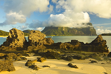 Eroded calcarenite rock (cemented coral sands) with Mount Lidgbird and Mount Gower by the lagoon with the world's most southerly coral reef, on this 10km long volcanic island in the Tasman Sea, Lord Howe Island, UNESCO World Heritage Site, New South Wales, Australia, Pacific