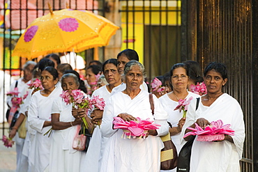 Procession of female Buddhist devotees with offerings at the sacred Temple of the Sacred Tooth Relic, Kandy, Sri Lanka, Asia