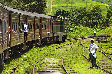 The popular scenic train ride through the tea growing hill country, here between Hatton and Nuwara Eliya, Sri Lanka, Asia