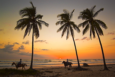 Horse riders at sunset, Playa Guiones surfing beach, Nosara, Nicoya Peninsula, Guanacaste Province, Costa Rica, Central America