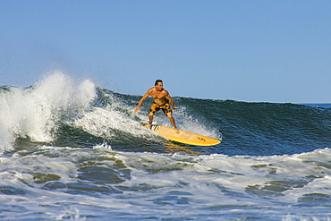 Surfer on longboard riding wave at popular Playa Guiones surf beach, Nosara, Nicoya Peninsula, Guanacaste Province, Costa Rica, Central America
