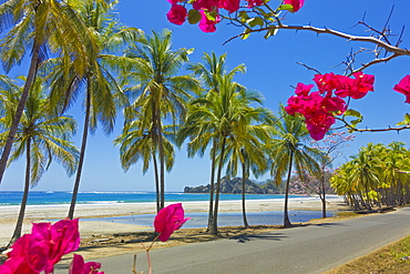 Beautiful palm fringed white sand Playa Carrillo, Carrillo, near Samara, Guanacaste Province, Nicoya Peninsula, Costa Rica, Central America