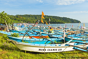 Outrigger fishing boats on west beach of the isthmus at this major beach resort on the south coast, Pangandaran, Java, Indonesia, Southeast Asia, Asia