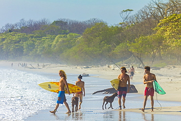 Surfers at this popular surf beach at the southern tip of the Nicoya Peninsula, Santa Teresa, Puntarenas, Costa Rica, Central America