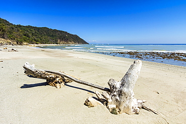 Cabo Blanco nature reserve and beach at far southern tip of the Nicoya Peninsula, Cabo Blanco, Mal Pais, Puntarenas, Costa Rica, Central America