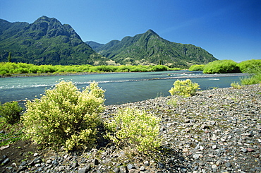 The Rio Minetue close to confluence with Lake Villarica in the Lake District, Pucon, Chile, South America