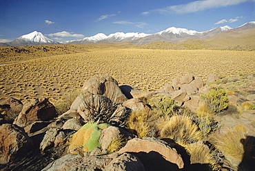 The Atacama Desert and snow capped Andes beyond, San Pedro de Atacama region, Chile, South America