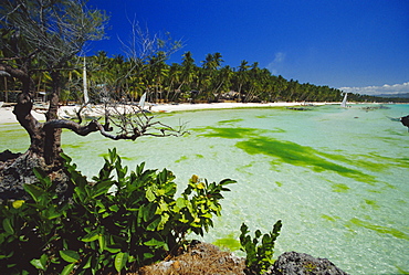 The west coast of the island of Boracay, off the coast of Panay, Philippines, Asia