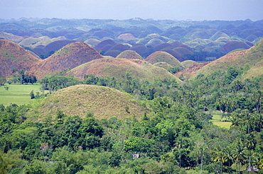 The Chocolate Hills of Bohol, famous geological curiosity, of which there are over 1000, Bohol, Philippines, Southeast Asia, Asia