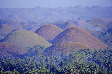 The Chocolate Hills of Bohol, famous geological curiosity, of which there are over 1000, Bohol, Philippines, Southeast Asia, Asia